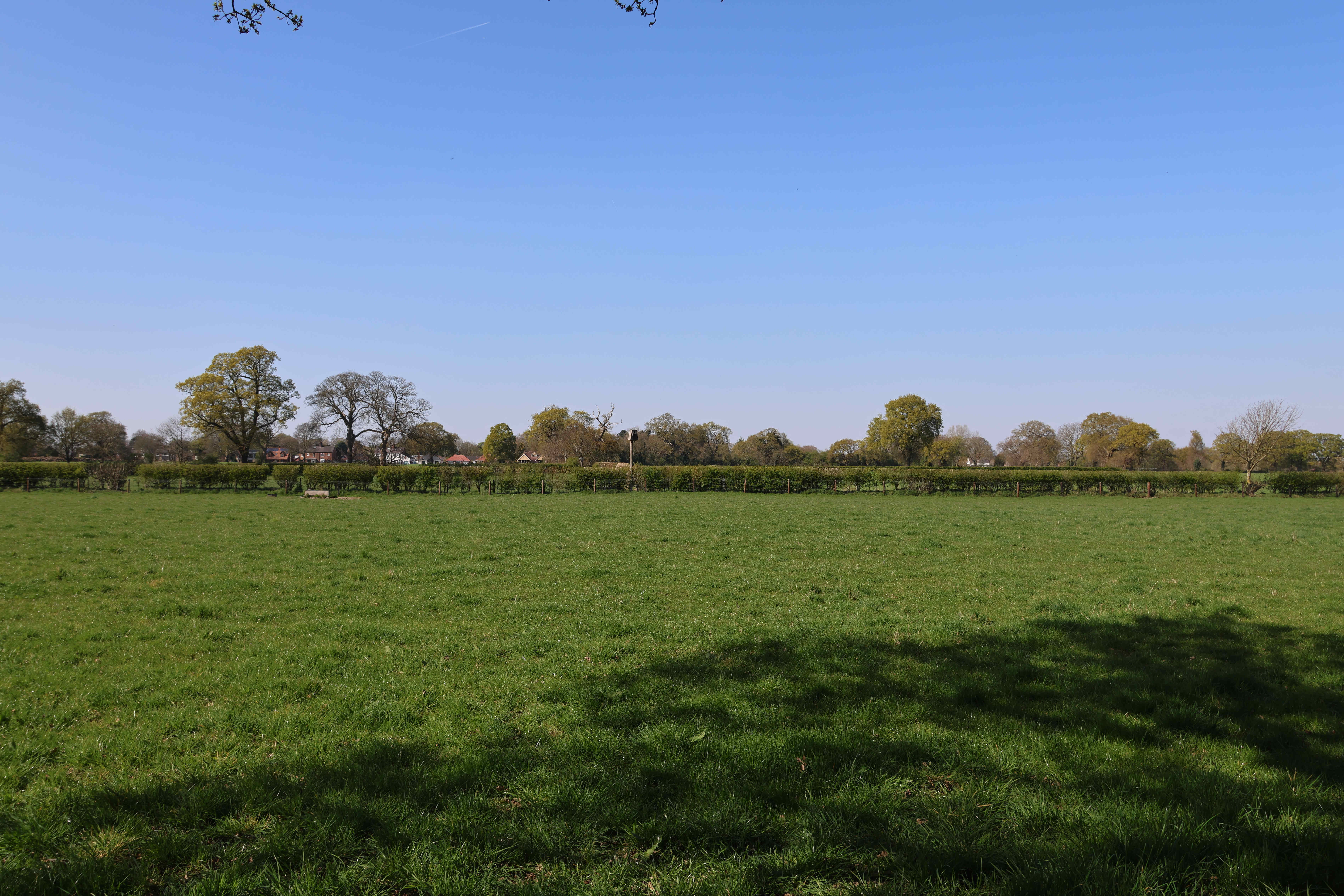 V01-Looking across to Barn Owl Box Littleton from Cricket Club