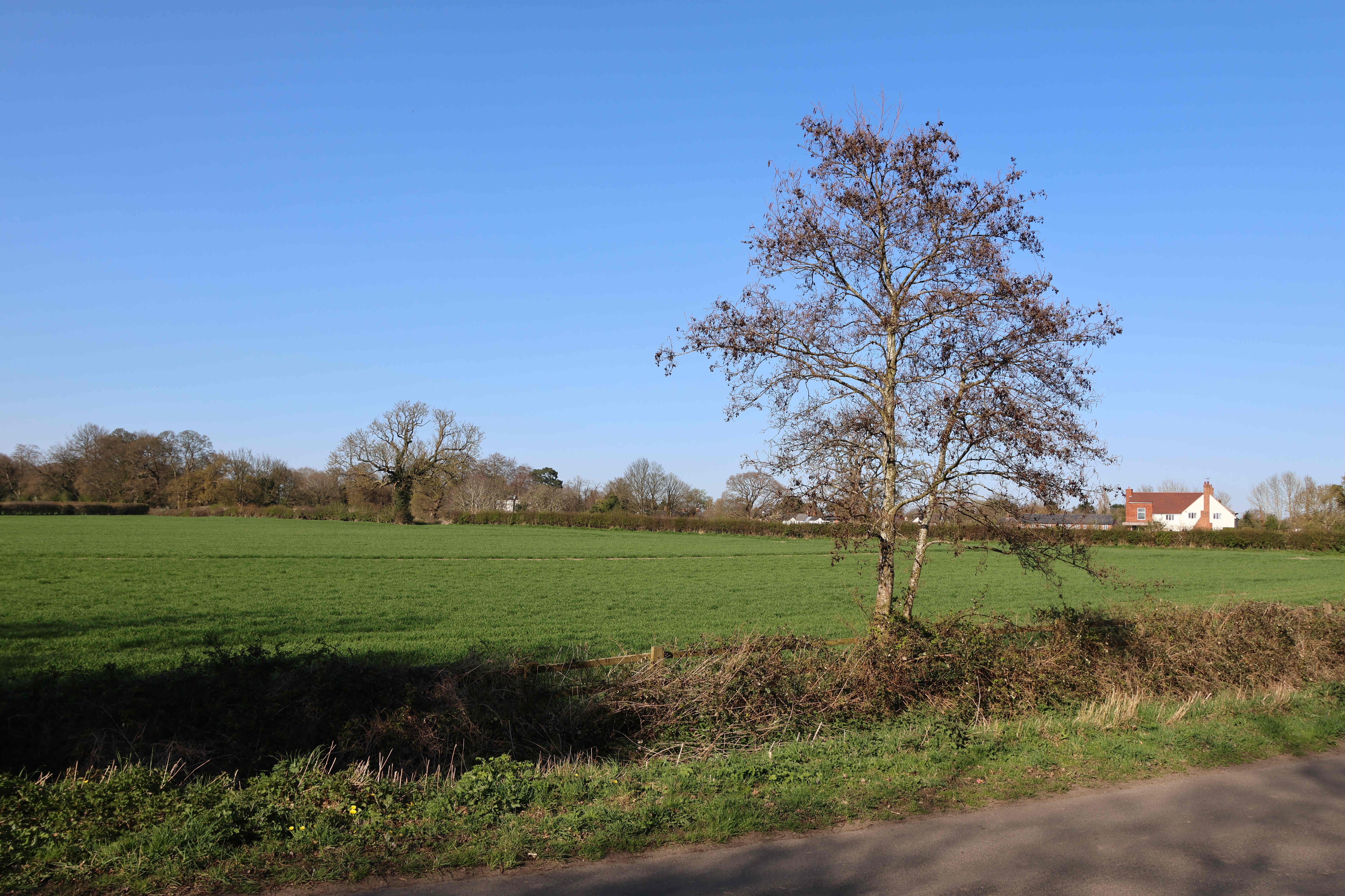 V20 View north east towards Littleton Hall from Pearl Lane