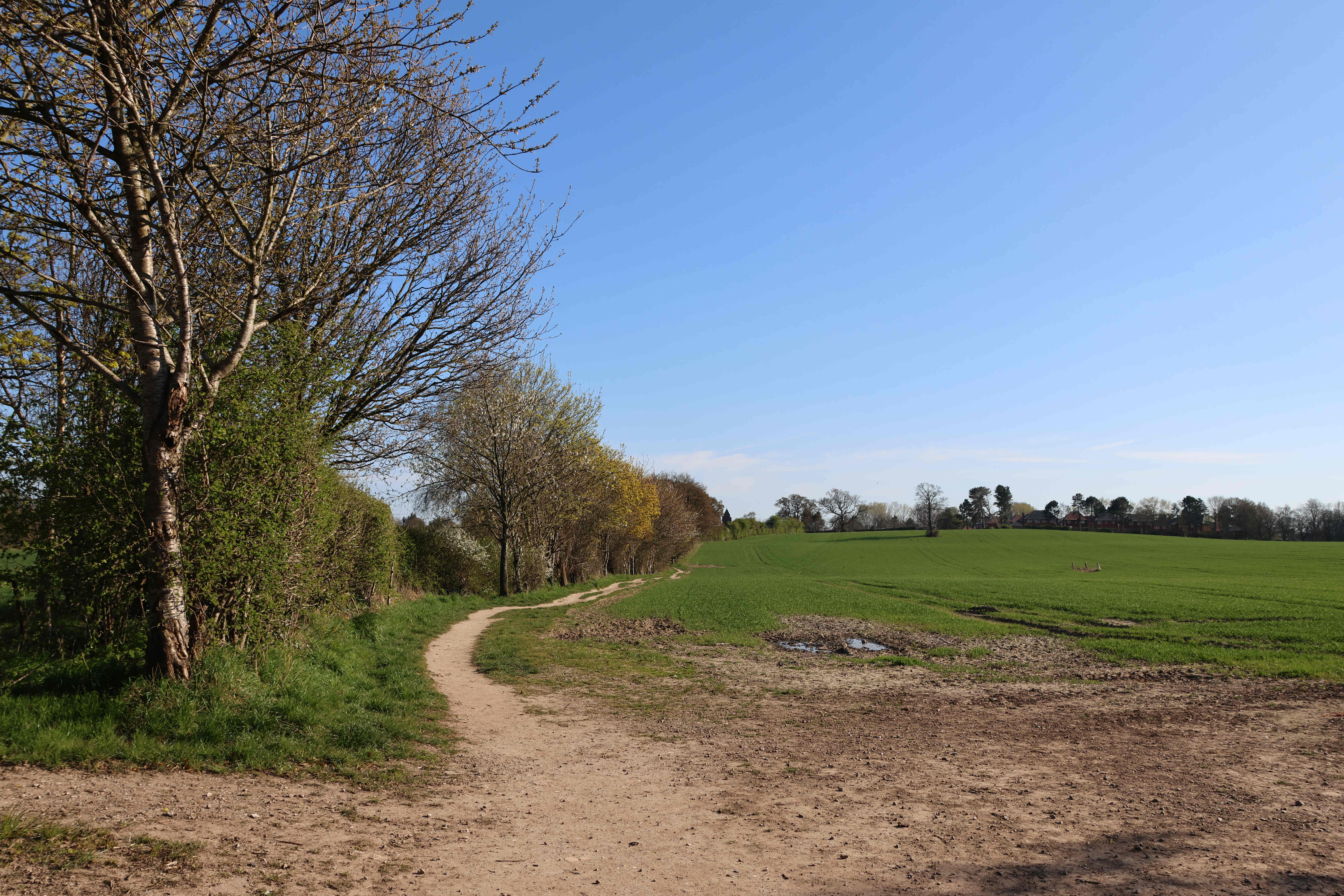 V21 View south towards St James Church from Peral Lane