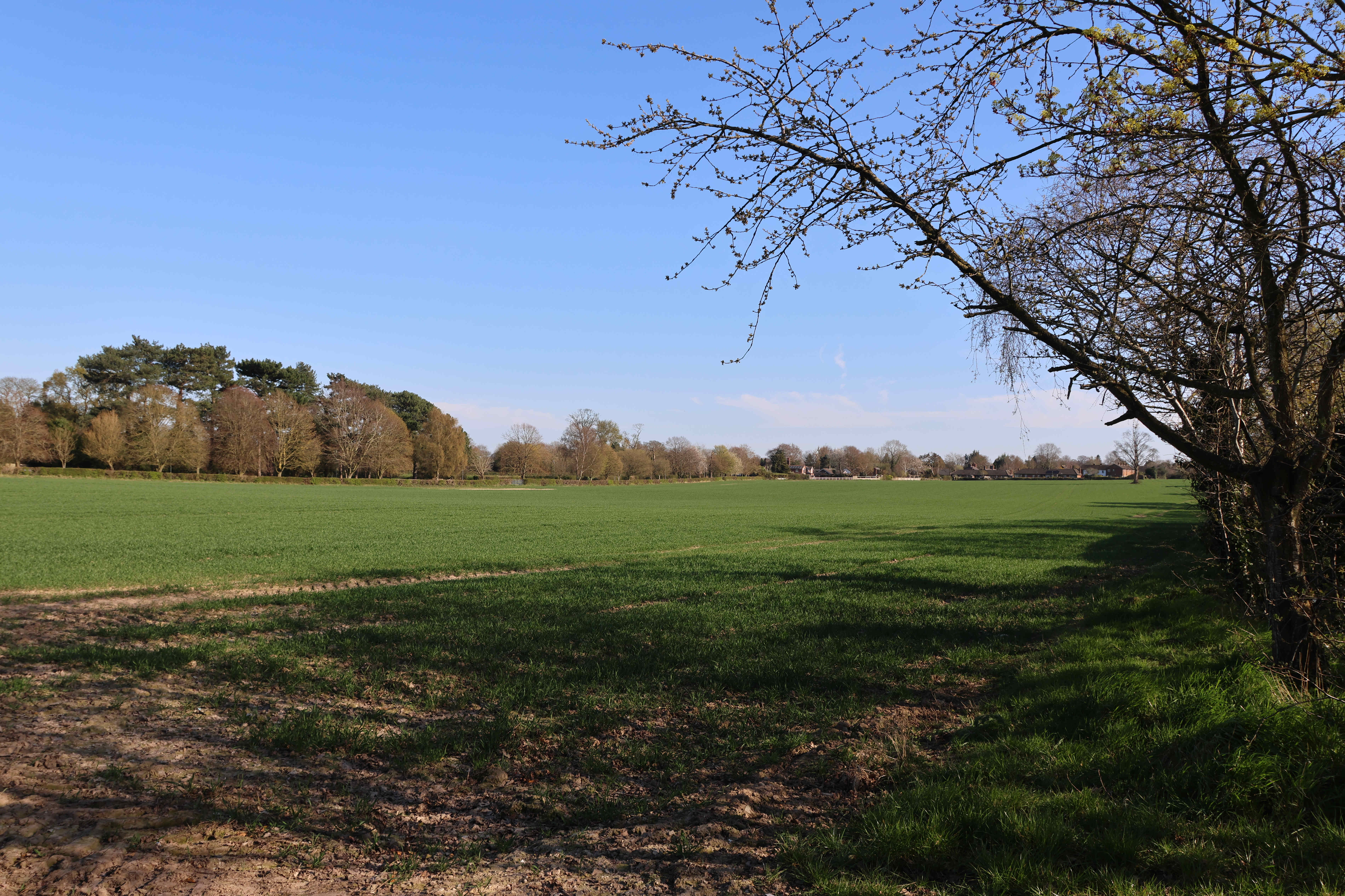 V22 Looking south east towards The Pit from Littleton footpath