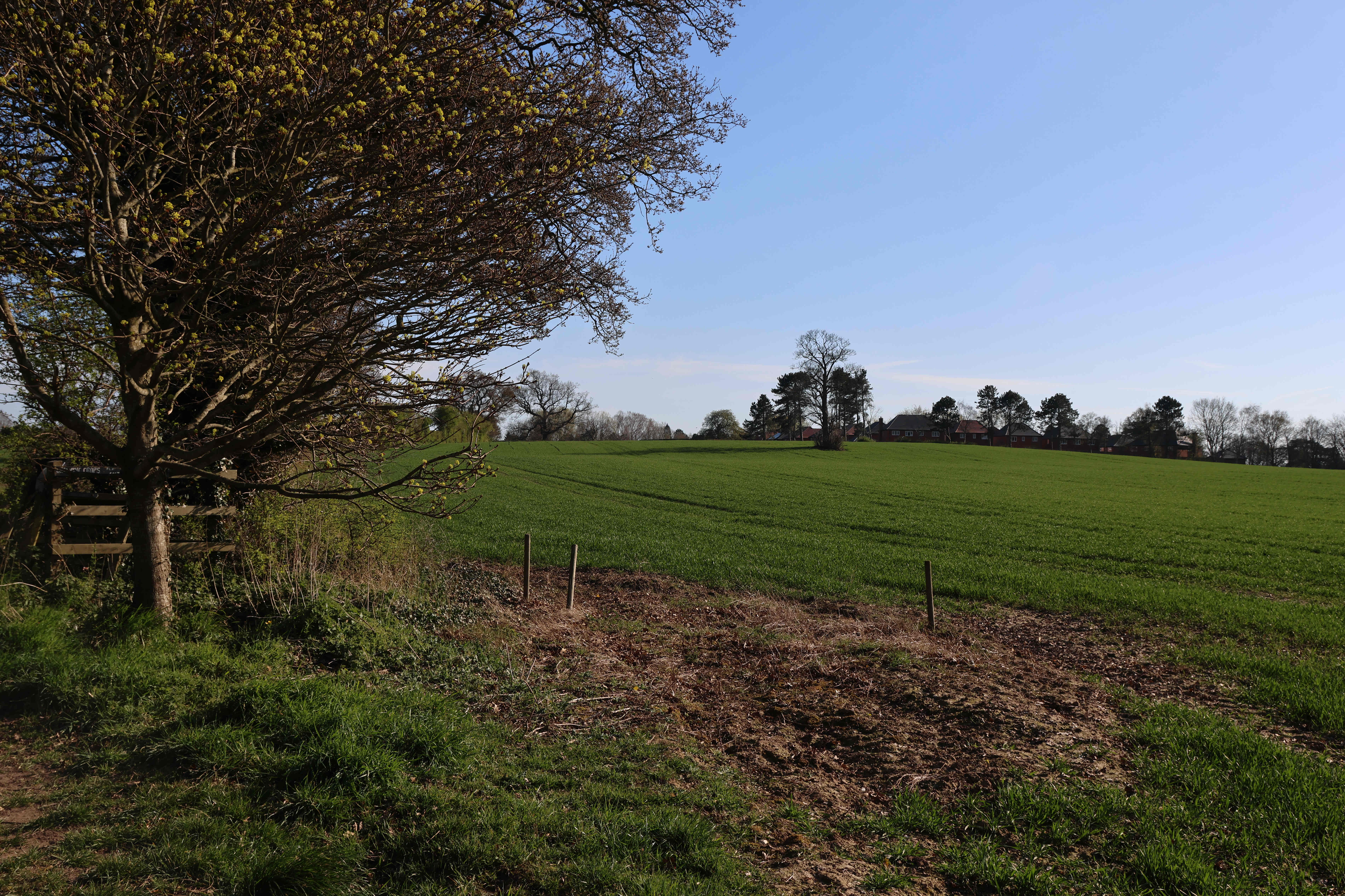 V23 Looking south towards Mill Mound