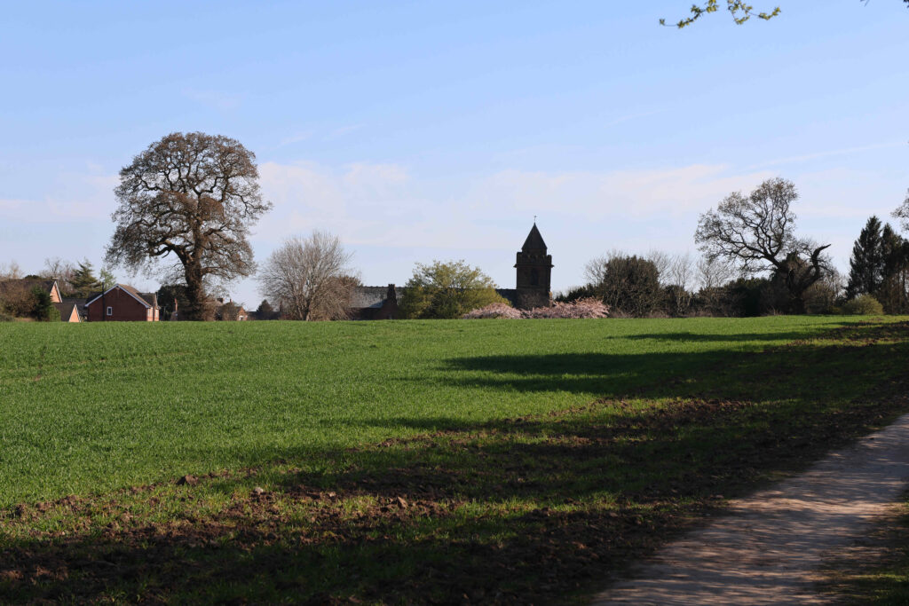 V24 Looking towards Church from footpath