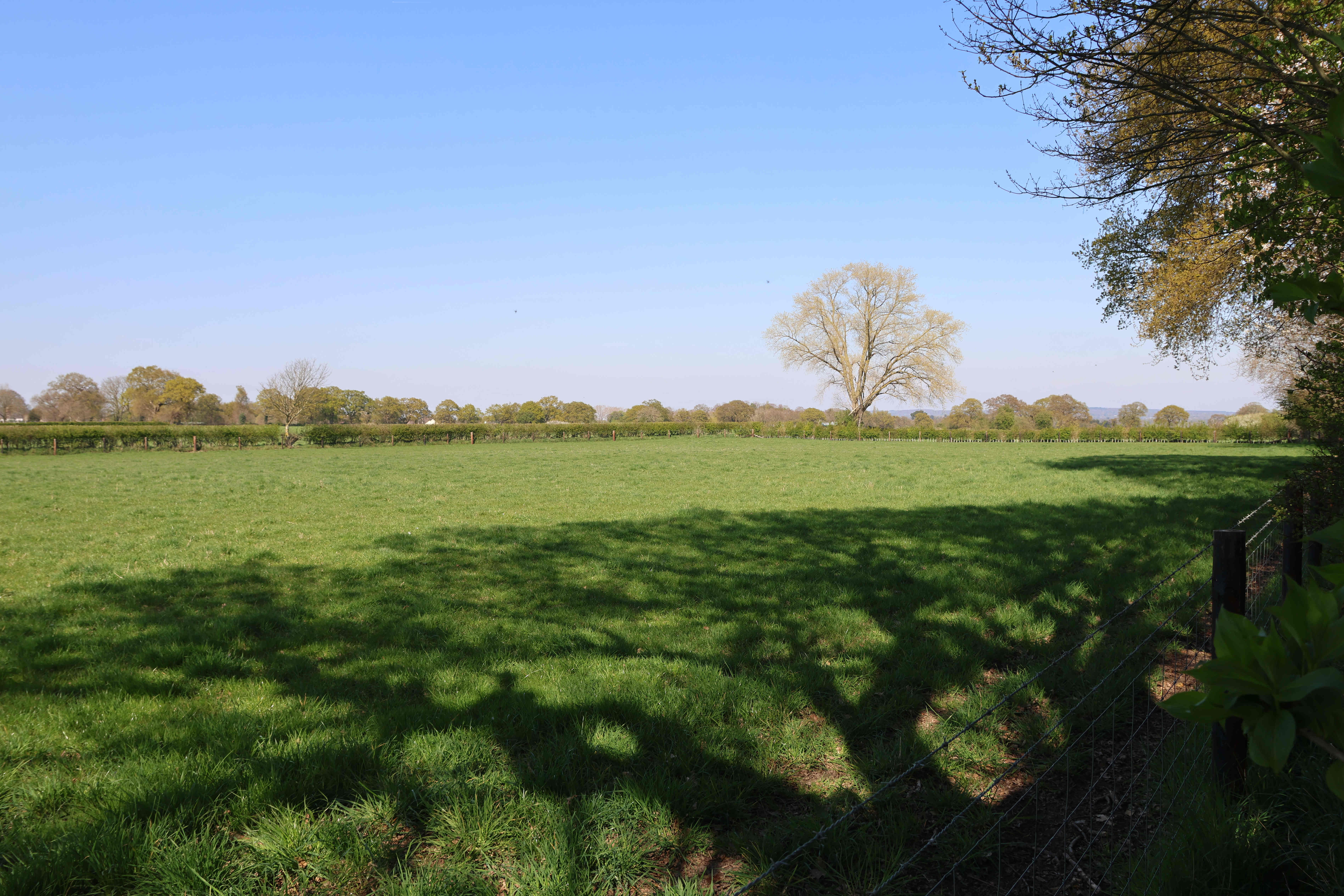 V26 Field east of Cricket Club