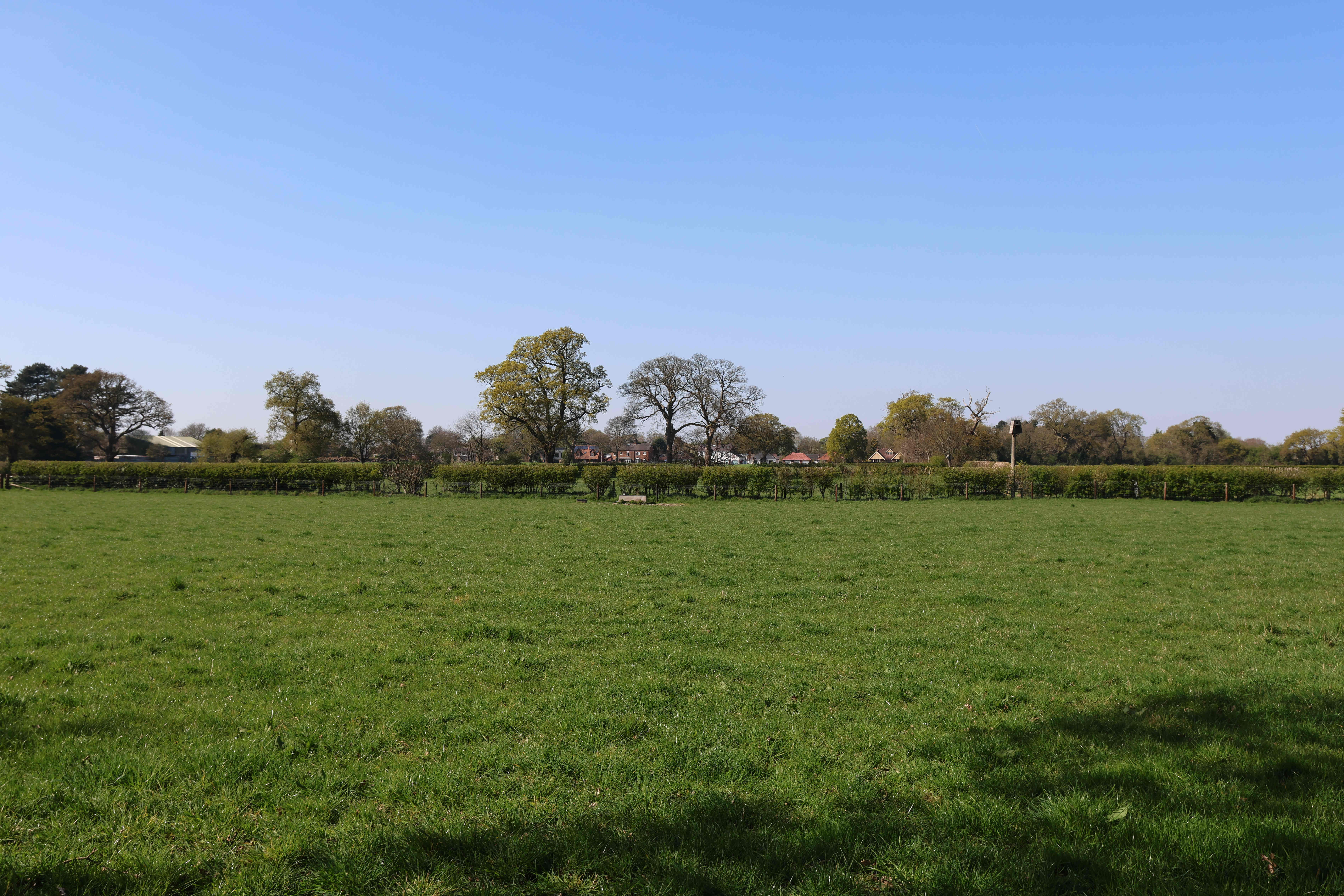 V27 View towards Fir Tree Lane