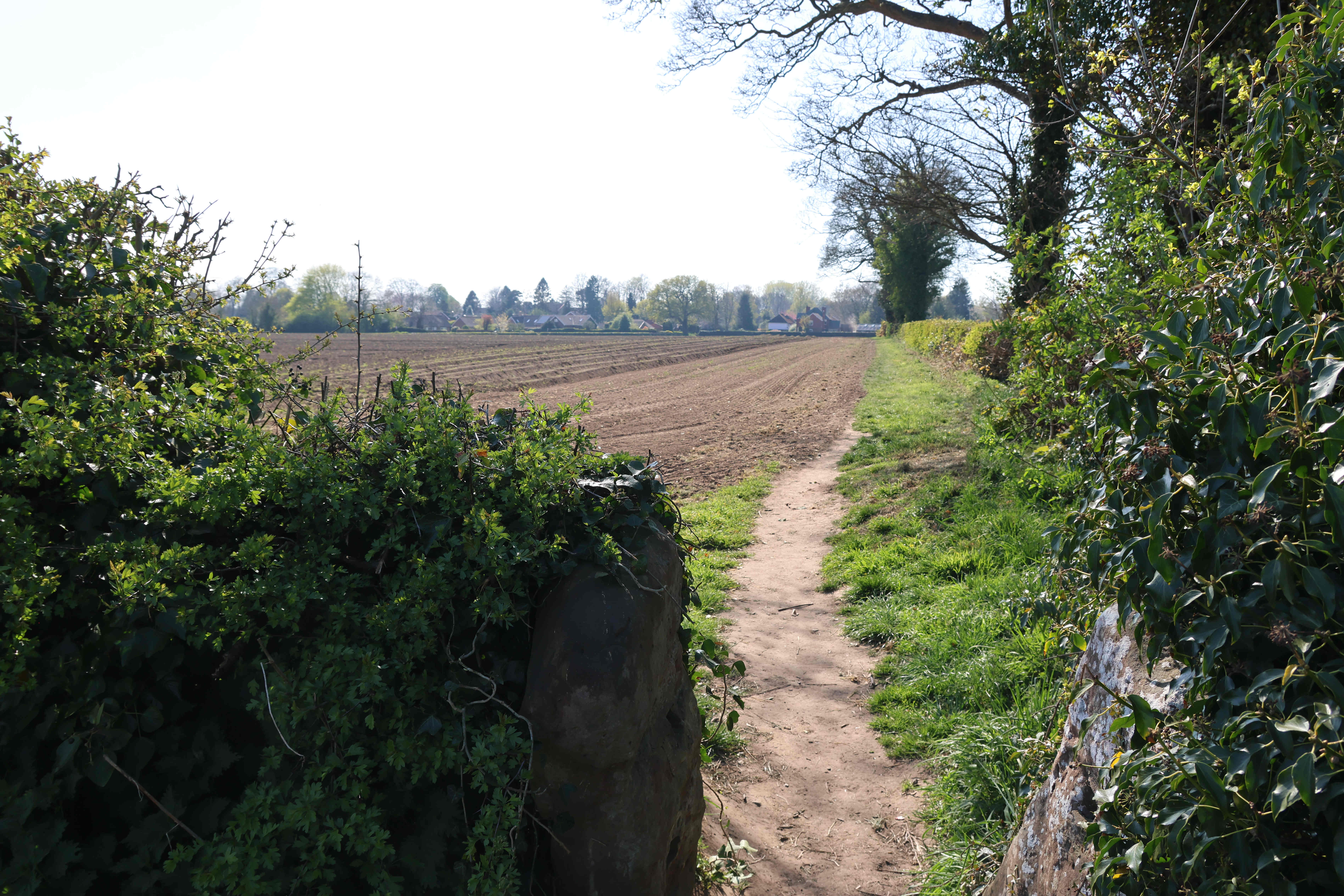 V29 Looking back towards Village from Birch Hetah footpath