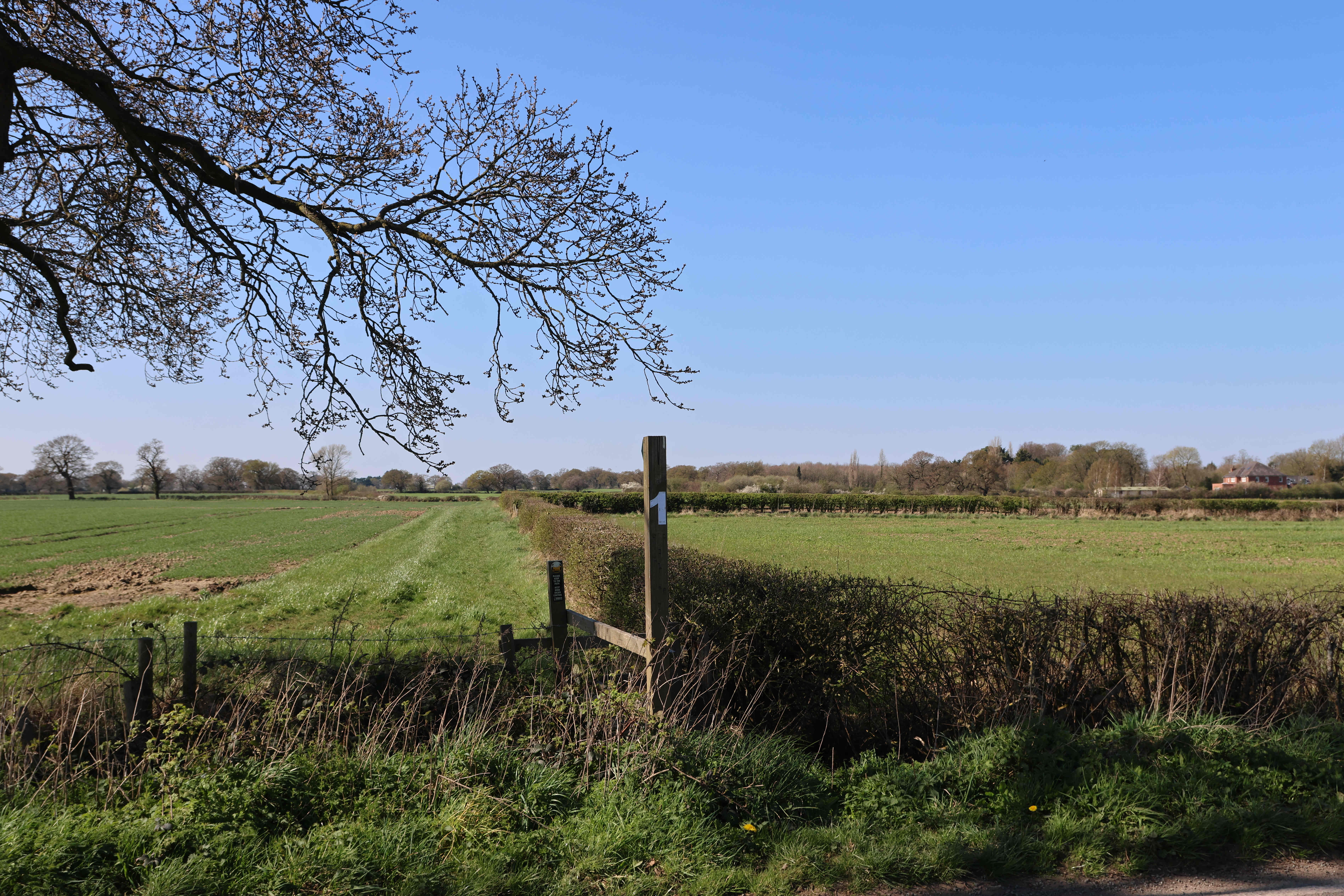 V06 View west along Christleton Footpath towards Village