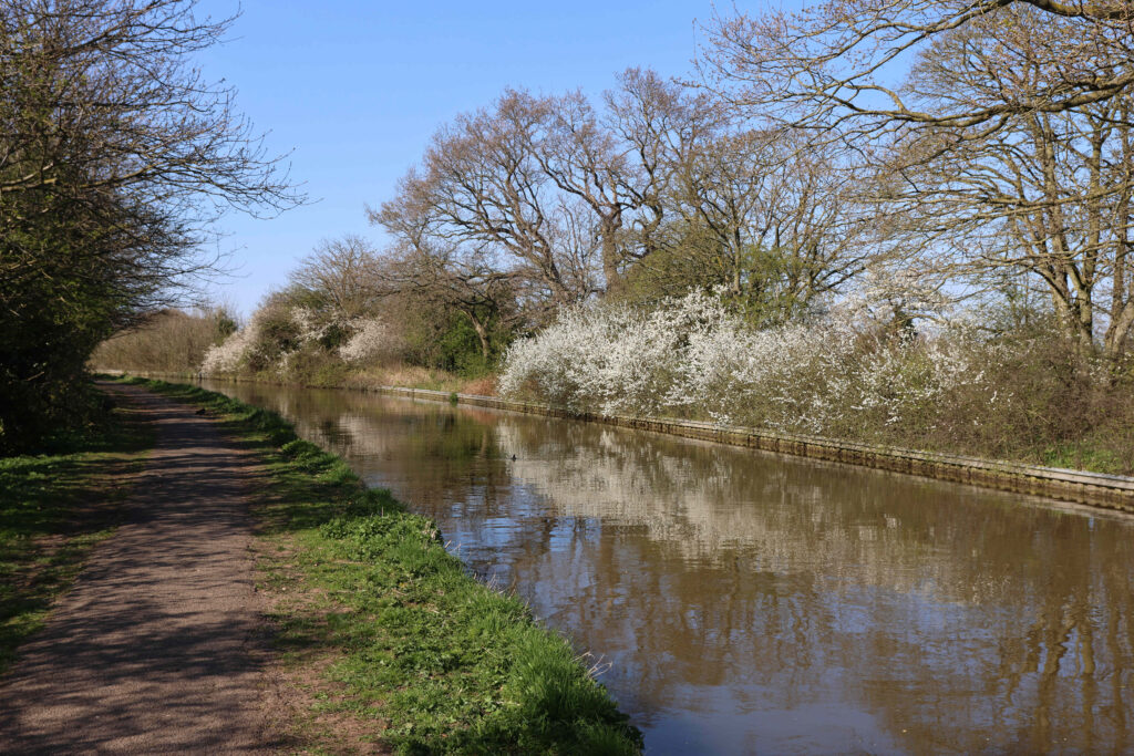 V08 View along canal at Rowton. Baker Way footpath on right
